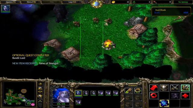Warcraft III The Scourge of Lordaeron Raid Mode (Shandris testing)