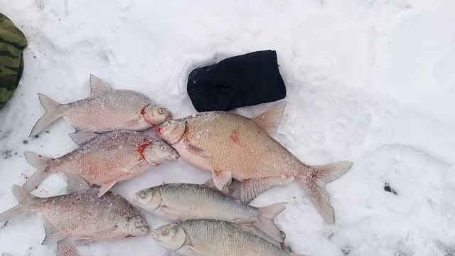 Улов второго декабря крупный лещ