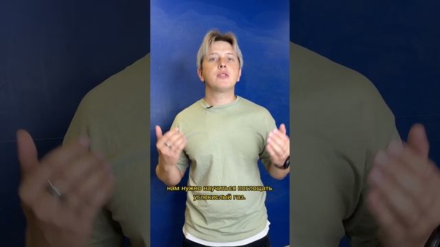Возможно ли Питаться Энергией Солнце? #shorts #youtubeshorts