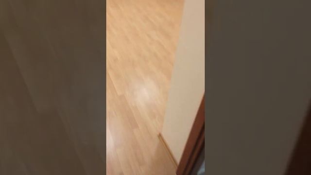 Нижний Новгород ул Провиантская26 261кв м 3 эт