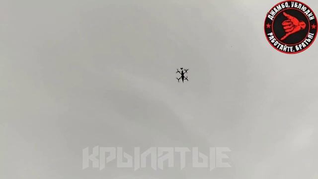Расчёты FPV-дронов 19-й гвардейской мотострелковой дивизии группировки войск Днепр