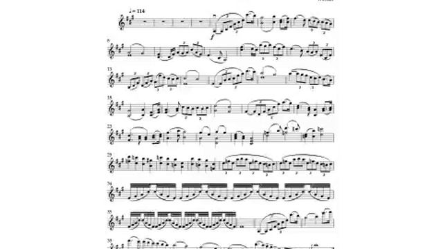 Accolay Cadenza