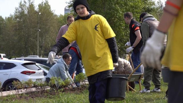 Акция "Посади дерево"