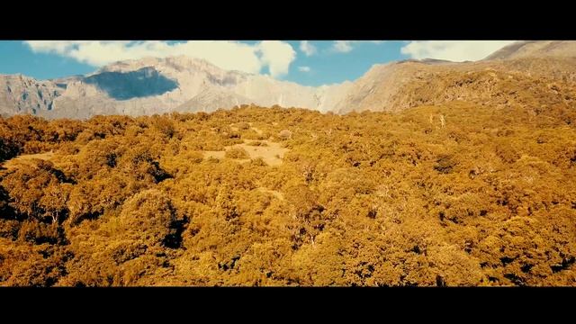 Travel Tanzania | Mount Kilimanjaro HD