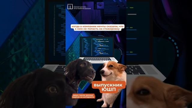 Юмор ЮШП