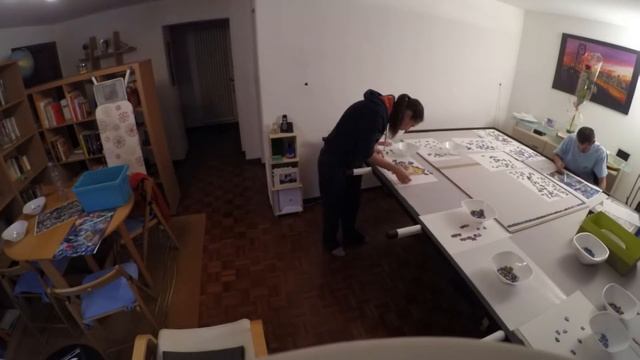 Star Wars Puzzle 18'000 pieces  (complete assembly)