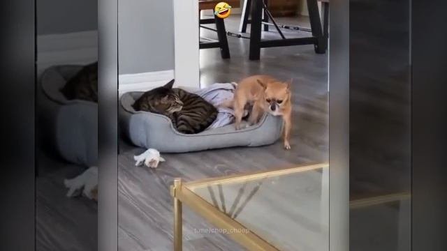 Если задом и не смотреть, то не страшно