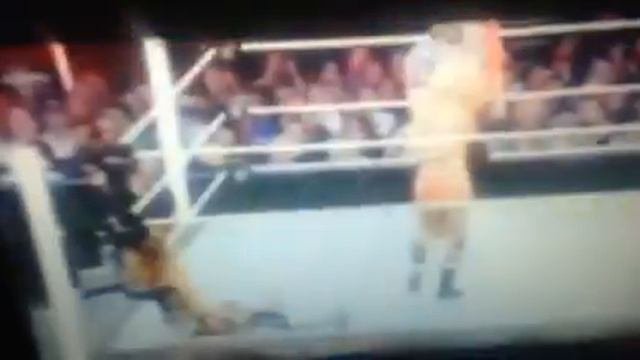 Kelly Kelly Stinkface montage