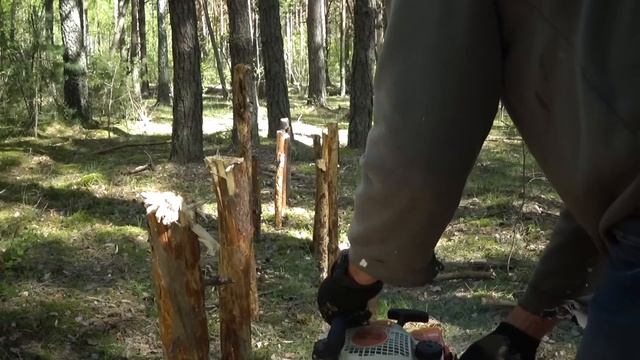 ВЫВОЖУ УЛЬЯ В ЛЕС! СТАВЛЮ ЛОВУШКИ ДЛЯ ПЧЁЛ! Установил секретний сигнализатор на улья.