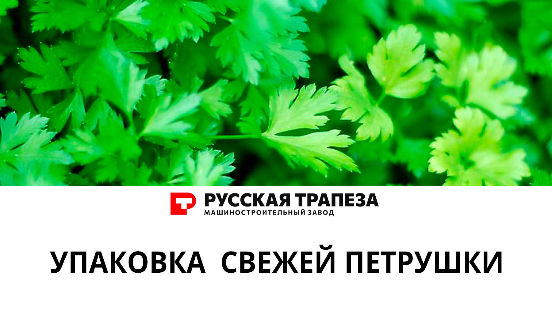 Упаковка свежей петрушки