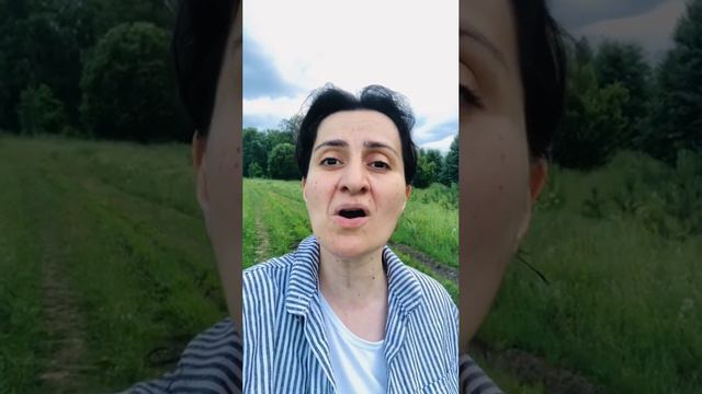 Белой Акации Гроздья Душистые