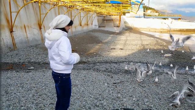 Алушта (Западная Набережная). Крым / Alushta (Western Seafront). Crimea