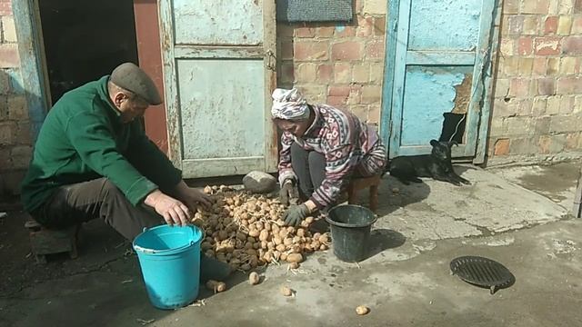 ПЕРЕБРАЛИ КАРТОФЕЛЬ. ? ?НА ПОДАРОК ОТ ПОДПИСЧИЦЫ ???❤️ МУКБАНГ,, ТОЛИ ОБЕД ТОЛИ ПЕРЕКУС!???????????
