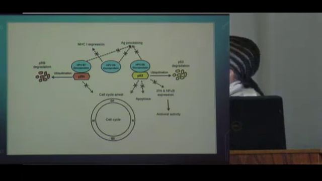 HPV Role in Oncogenesis