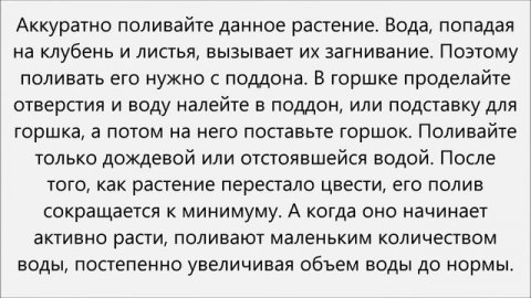 Как поливать цикламен