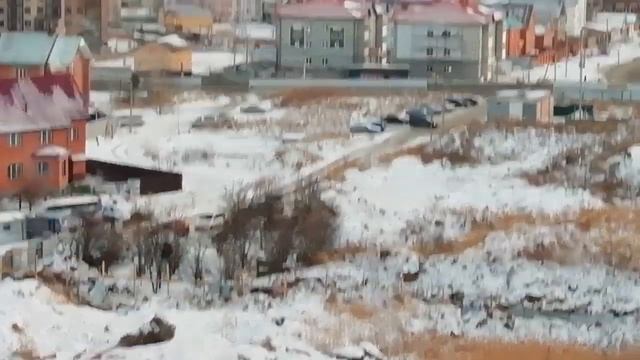 Автобус хоккейного клуба "Сокол" и бегущая стая собак - 2018-12-11 - 9:30