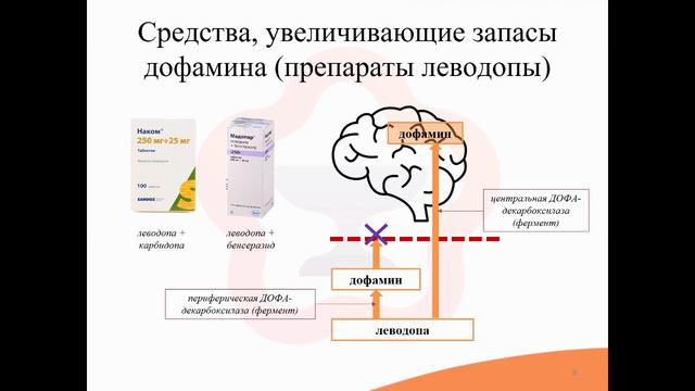 12.4. Средства для лечения болезни Паркинсона