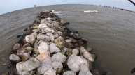 FORT MORGAN JETTY FISHING (Using Gulp Plastics And Live Bull Minnows)