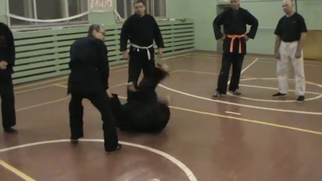 феникс джиу джитсу 7