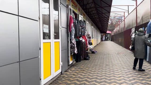 Улицы АНАПЫ. СТРАШНЫЙ переулок. Зима на юге. Посчитай КОТИКОВ.