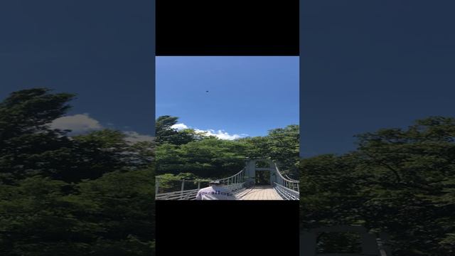 Архипо-Осиповка июнь 2024 года 🌤️ река Вулан 💦 Видео: Ларисса