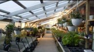 Last Call for Annuals at Netta's