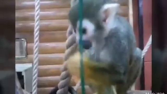 Влог:Увидели голую жопу на ДНЮХЕ у брата.