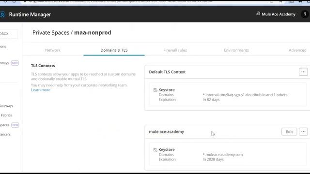 #08: Custom Domain & TLS Configurations in CloudHub 2.0