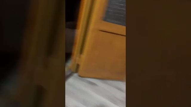 я делаю обзор на дачу часть 2