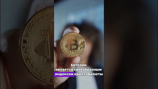 Биткойн основа портфеля 💼 #биткойн#криптовалюта#заработать#crypto#инвестиции#обучение