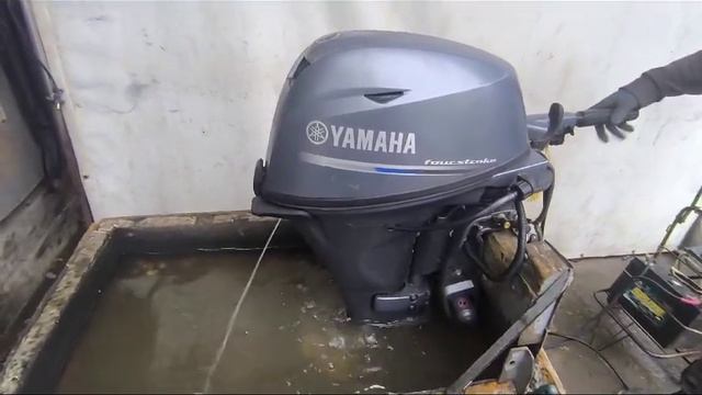Yamaha F20. Запуск двигателя