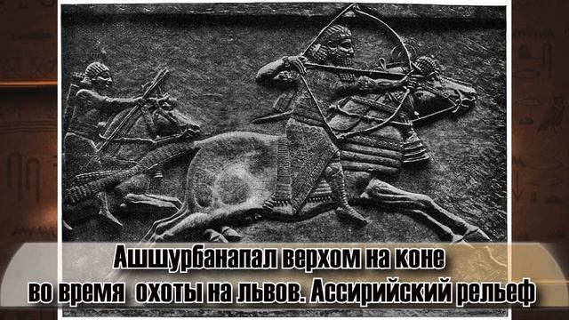 История появления библиотек