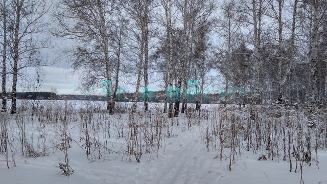 По зимним снежным (Ян Райнис)/On winter snow (Jan Rainis)