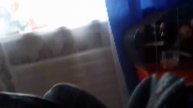 Нашёл на улице фикус. Первый день дома.