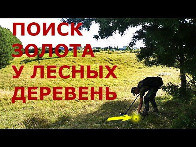 ПОИСК ЗОЛОТА У ЛЕСНЫХ ДЕРЕВЕНЬ
