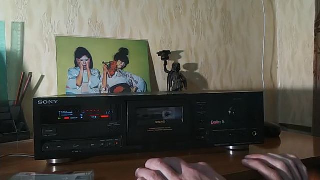 sony 561