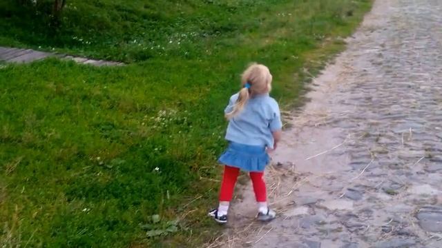 Алиса в деревне