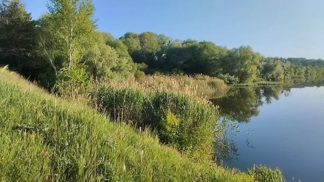 -"У меня долги, продавай дом"- заявил сынок матери....