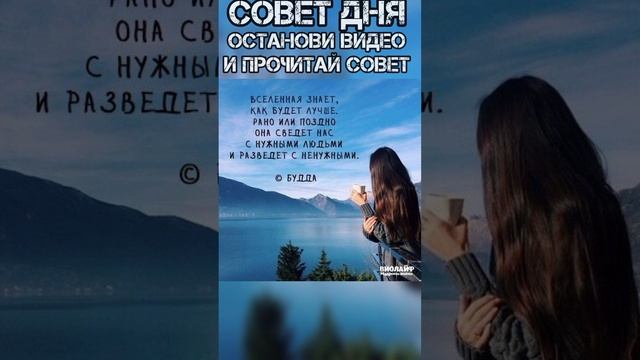 Совет дня! #shorts ? #таролог #совет #советдня #short #гадание #tarot  Личный расклад 89648778313