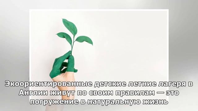 10 летних экошкол на английском, куда еще можно попасть