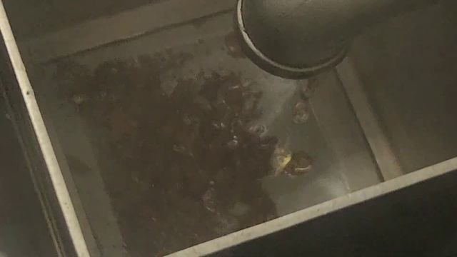 Daewoo Lanos має проблеми в системі охолодження. Багато бруду не дають радіатору пічки працювати.