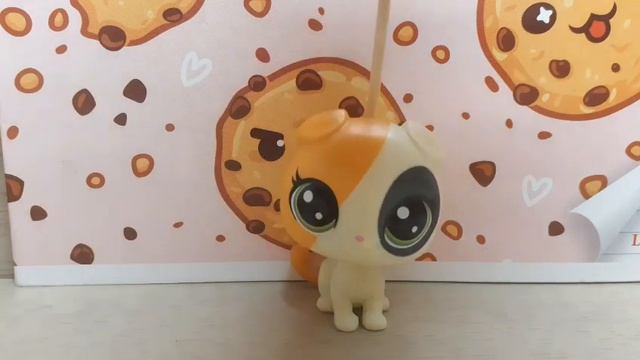 Lps. 10 идей что снять на лпс канал когда нет идей