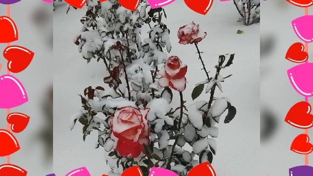 Хәерле кич дусларым!!!