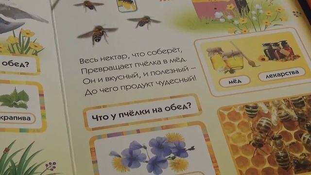 Игры Почемучек - Книжка-смартфончик "Домашние друзья"