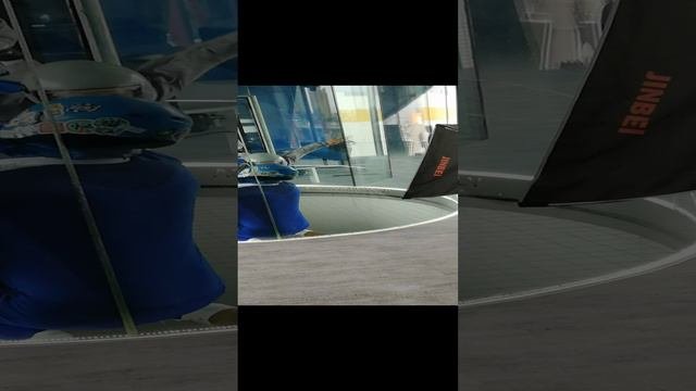 VID_20240903_121655.mp4