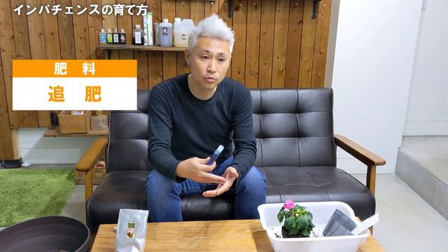 インパチェンスの育て方 花壇でも寄せ植えでも大鉢でも楽しめる！今回は大鉢の作り方！