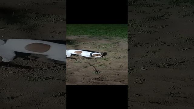 вечерняя прогулка в поисках клада.Я на шухере!