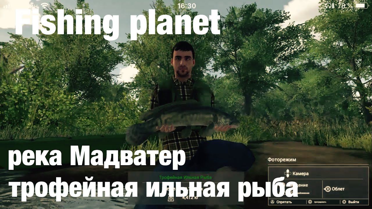 Fishing Planet река Мадвотер трофейная ильная рыба