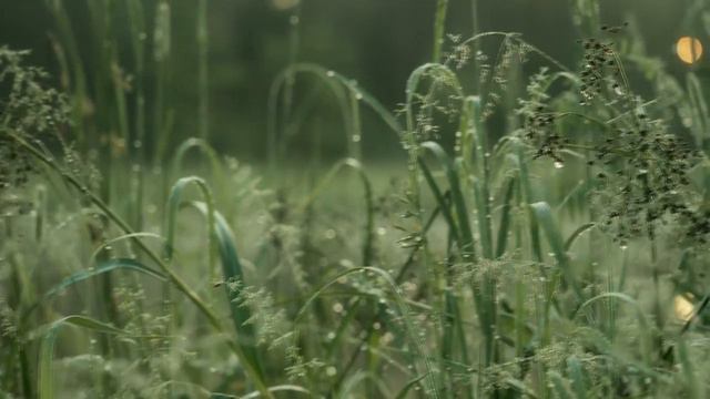 Люди  ищут в храме  Бога,  а не  рассказов о нем.