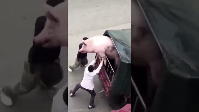 А НА УКРАИНЕ ПОЛНЫМ ХОДОМ ИДЕТ МОБИЛИЗАЦИЯ!